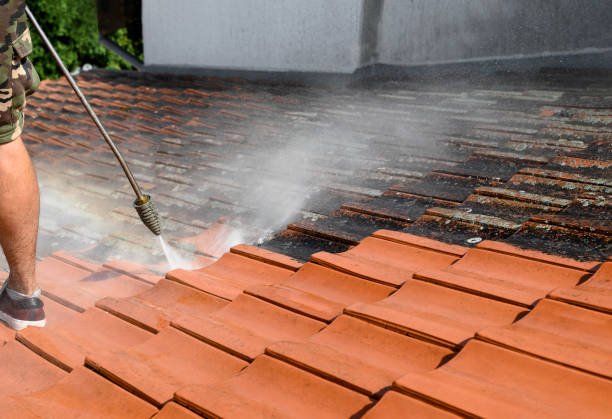 Roof Power Washing Services